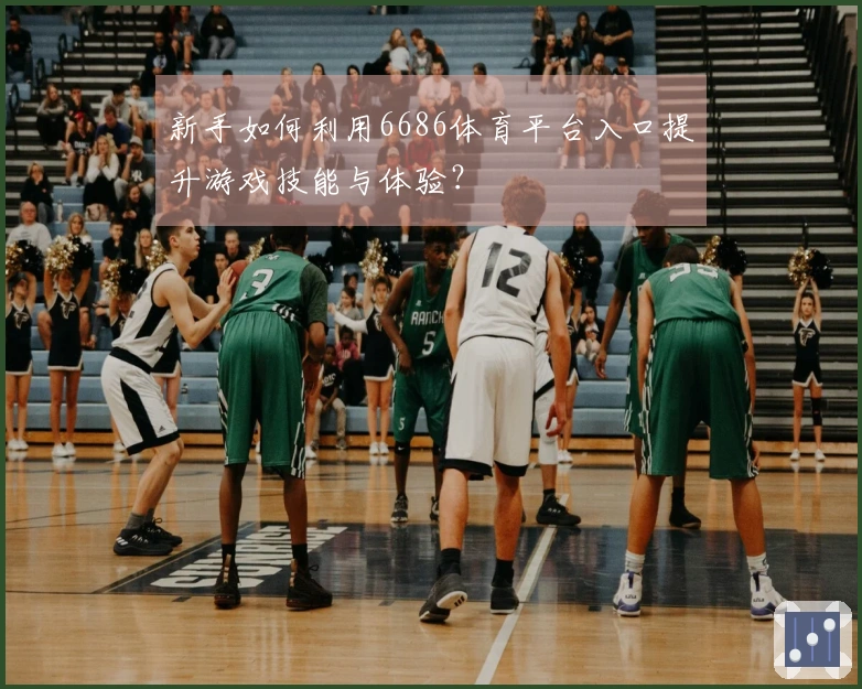 新手如何利用6686体育平台入口提升游戏技能与体验？