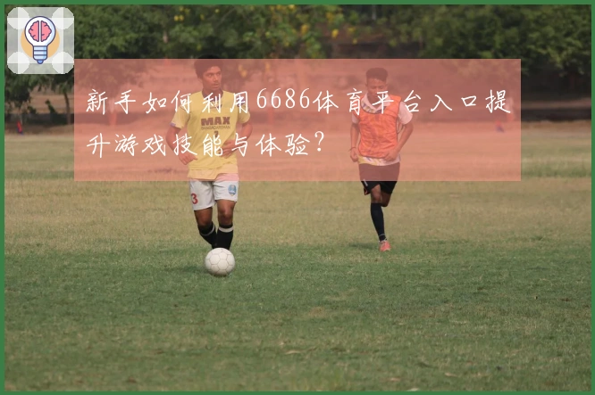 新手如何利用6686体育平台入口提升游戏技能与体验？